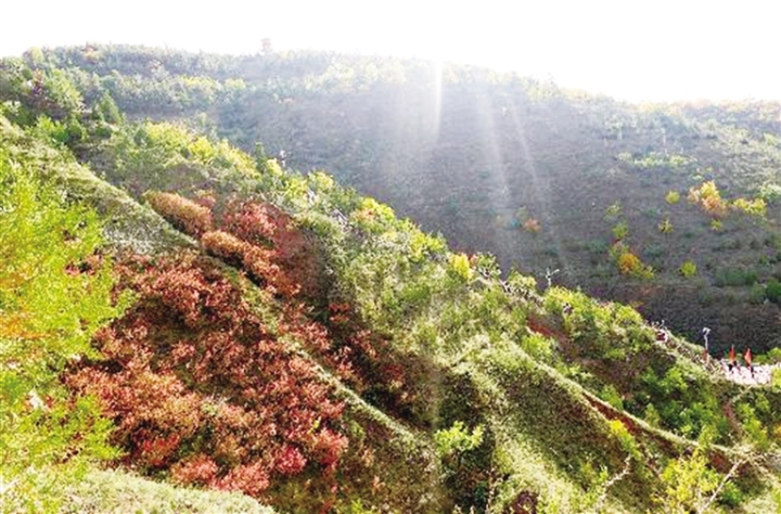         深秋时节，会宁县红军长征胜利景园景区秋景如画，吸引了众多游客前来参观。    图为在景区拍摄的秋景。    常琦彪 摄